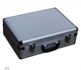 Case
