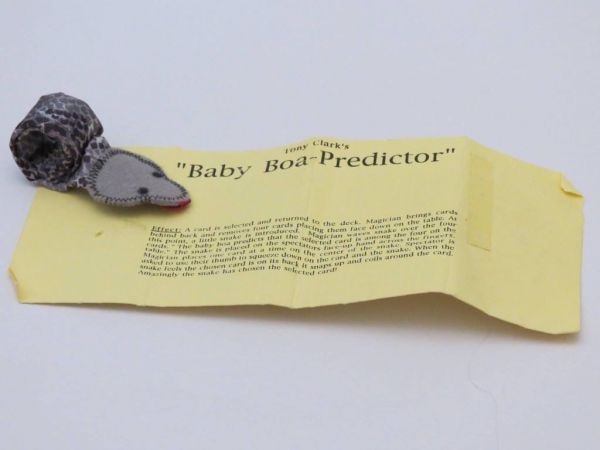 Baby Boa Predictor